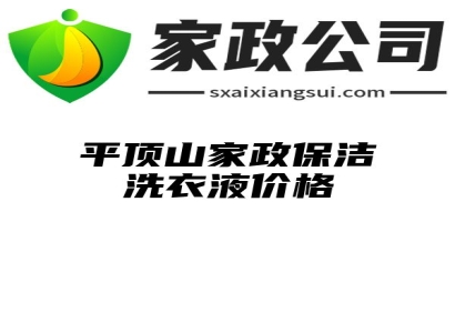 平顶山家政保洁洗衣液价格