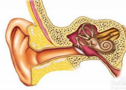耳朵发烧是怎么回事?