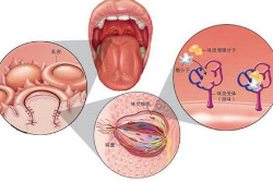 疾病预兆会导致味觉出错！