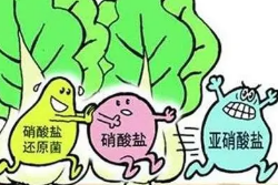 剩菜热热就行了吗？