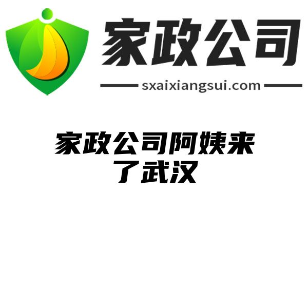 家政公司阿姨来了武汉