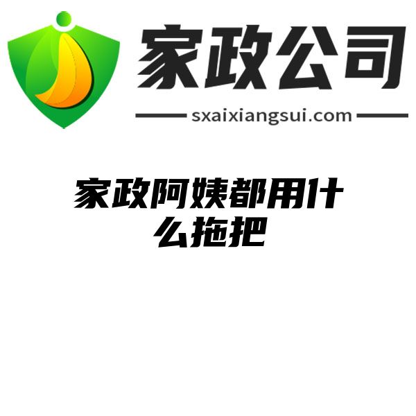 家政阿姨都用什么拖把